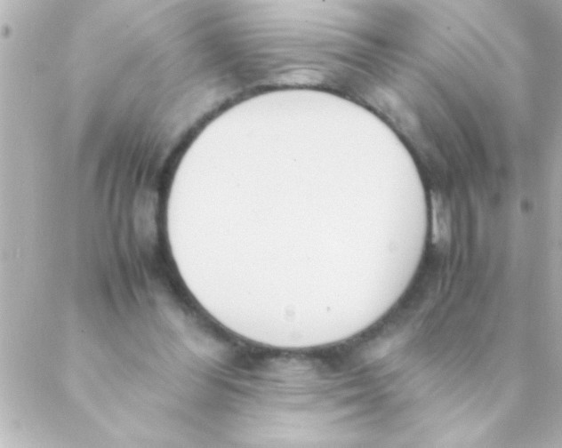 X0000088640300200706151949