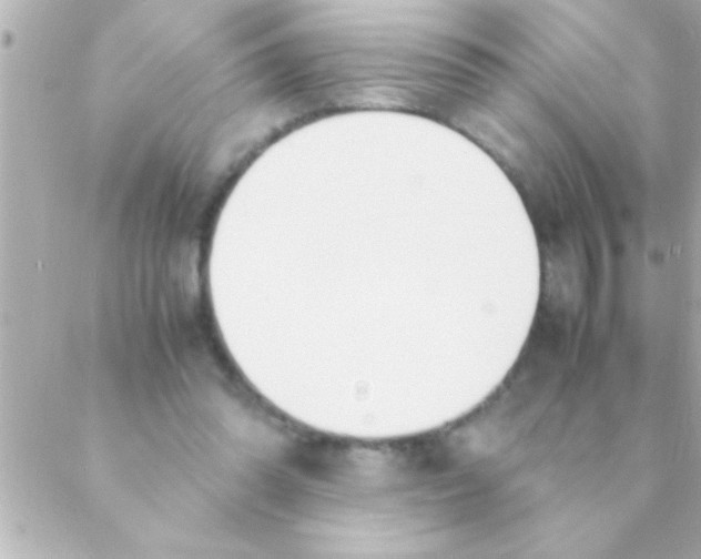 X0000088640302200706151949