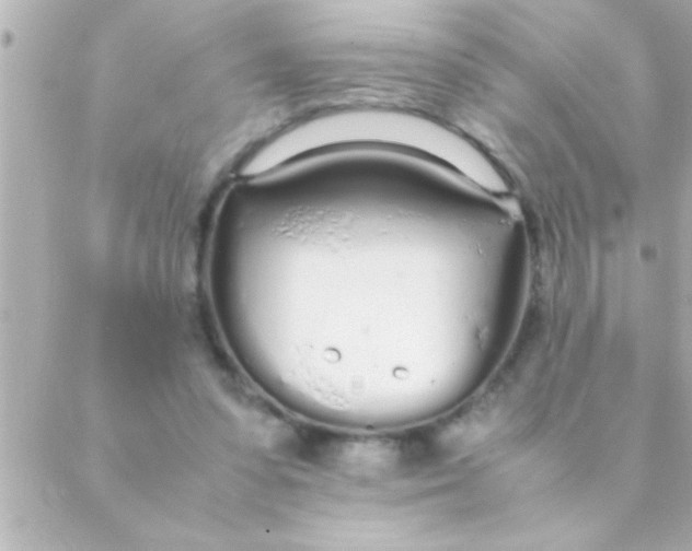 X0000088640303200706151949