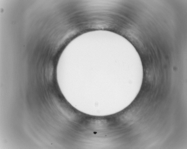 X0000088640304200706151949