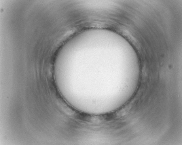 X0000088640305200706151949