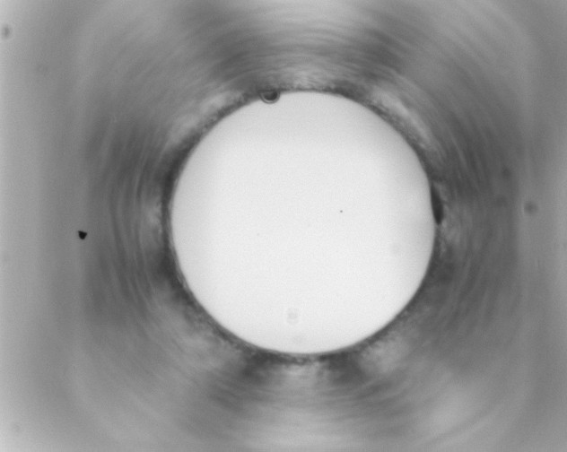 X0000088640306200706151949