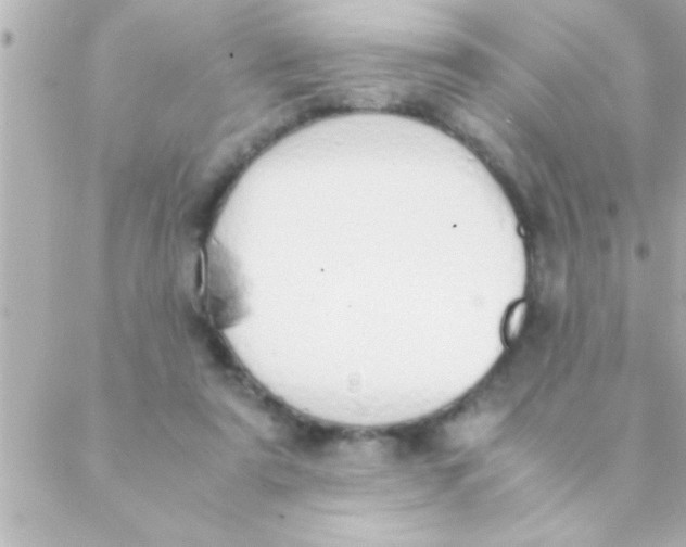 X0000088640307200706151949