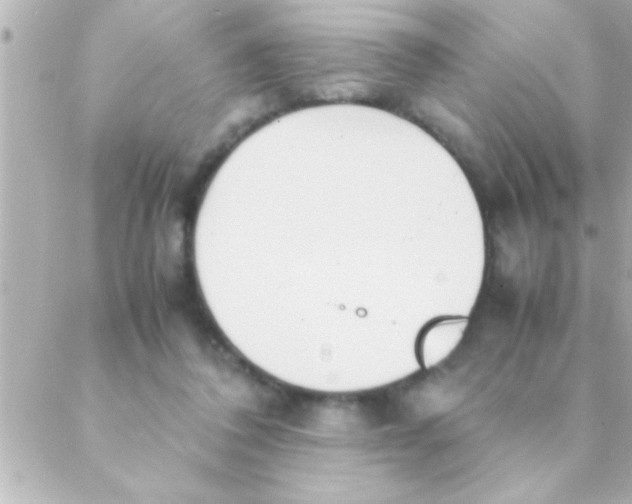 X0000088640308200706151949