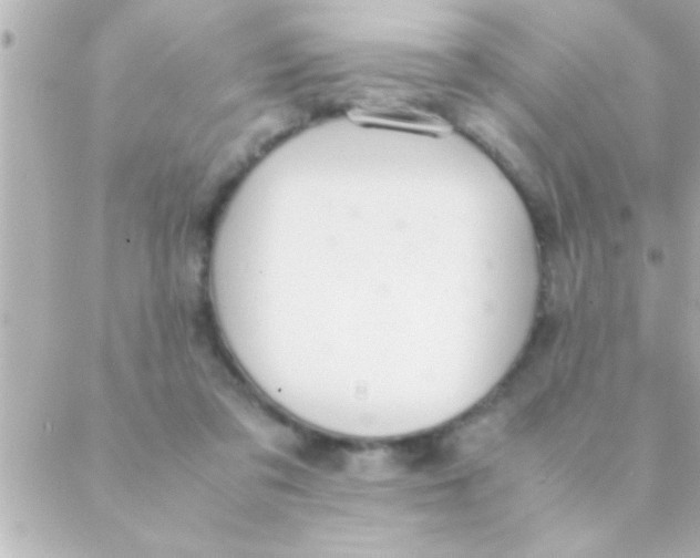 X0000088640309200706151949