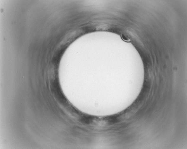 X0000088640311200706151949