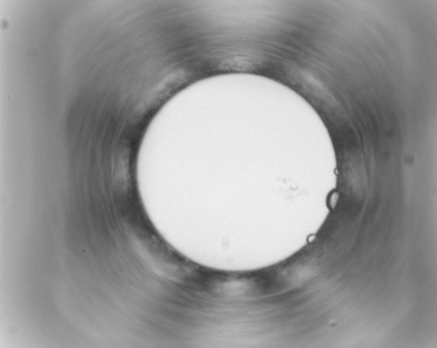 X0000088640312200706151949