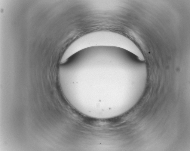 X0000088640313200706151949