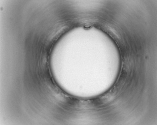 X0000088640314200706151949