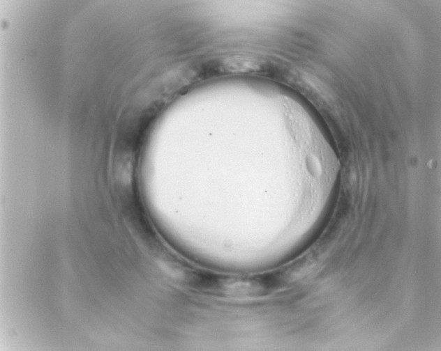 X0000088640315200706151949