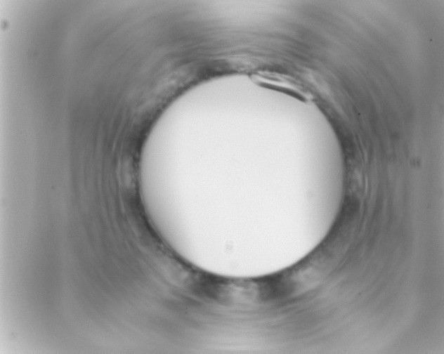 X0000088640317200706151949