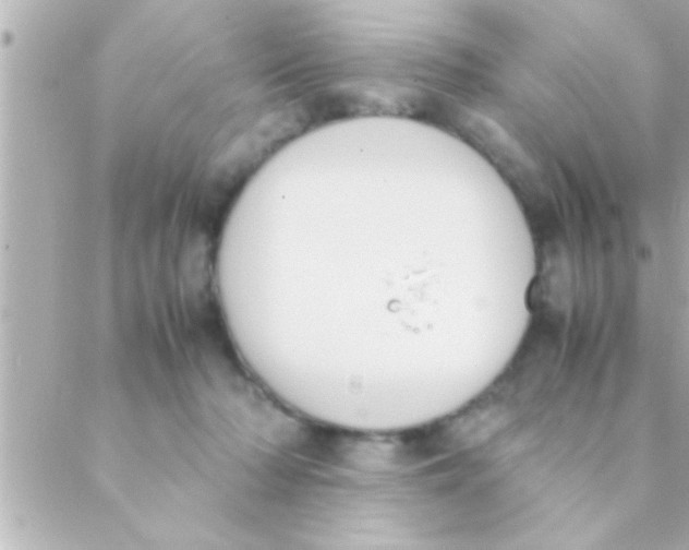 X0000088640318200706151949