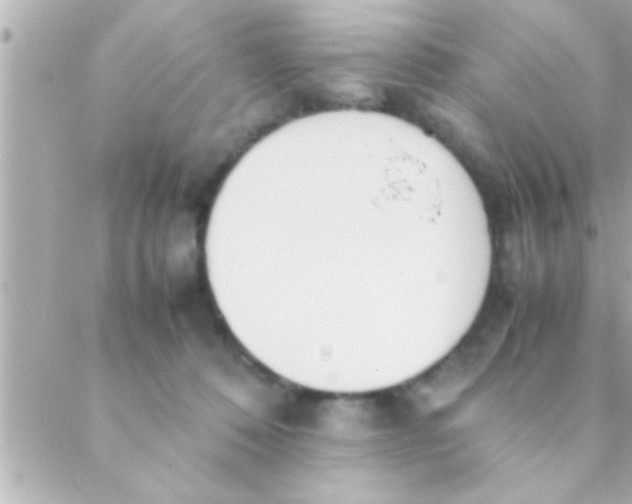 X0000088640320200706151949