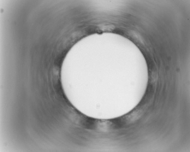 X0000088640321200706151949