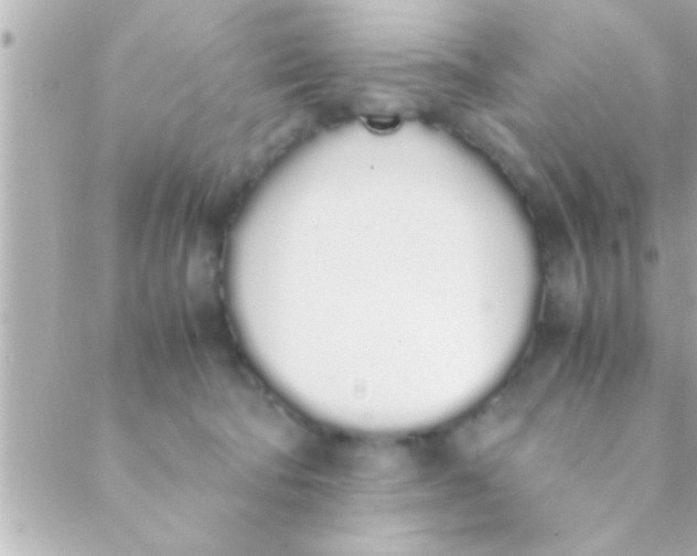 X0000088640322200706151949