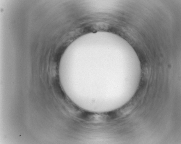 X0000088640323200706151949