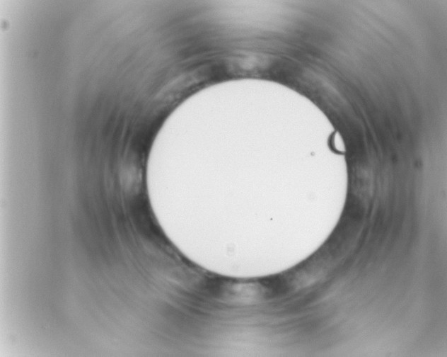 X0000088640324200706151949