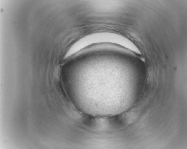 X0000088640325200706151949