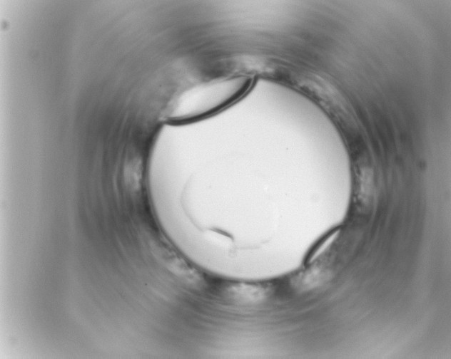 X0000088640326200706151949