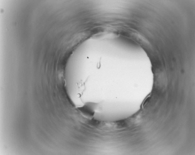 X0000088640329200706151949