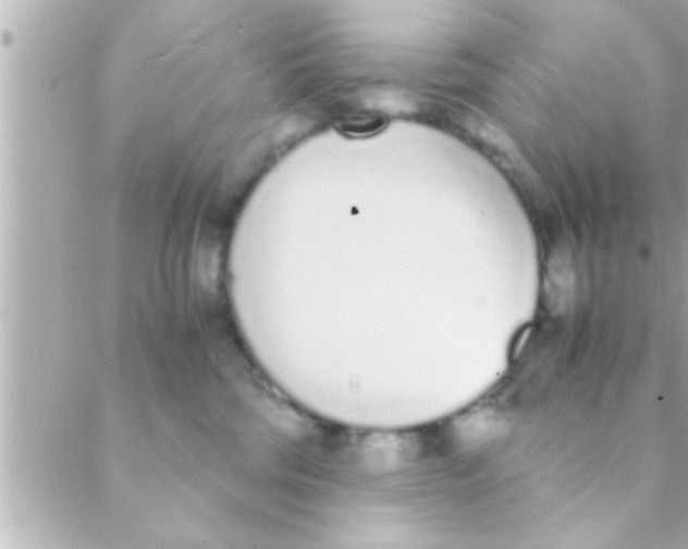 X0000088640330200706151949