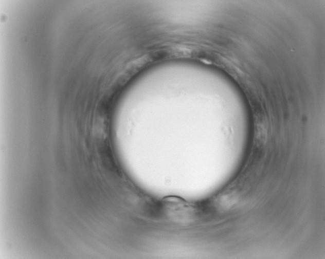 X0000088640331200706151949