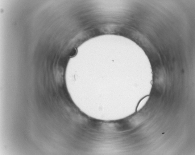 X0000088640332200706151949