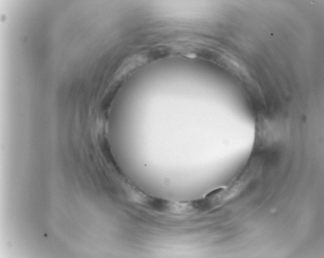 X0000088640333200706151948