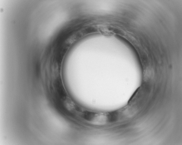 X0000088640335200706151948