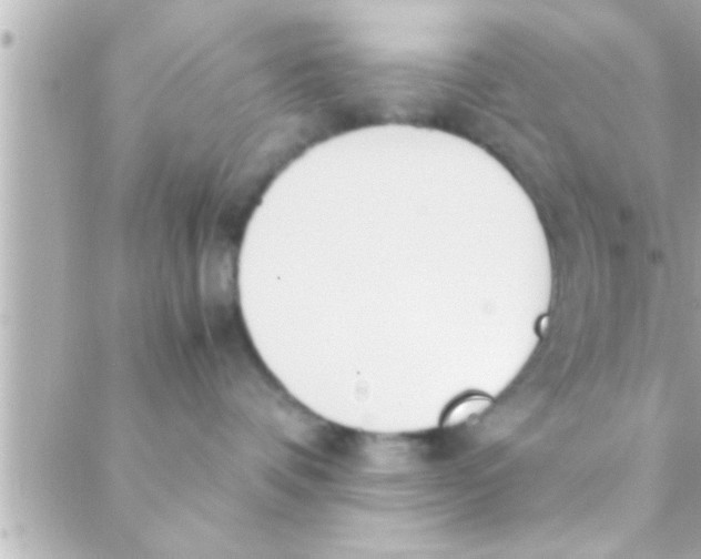 X0000088640336200706151948