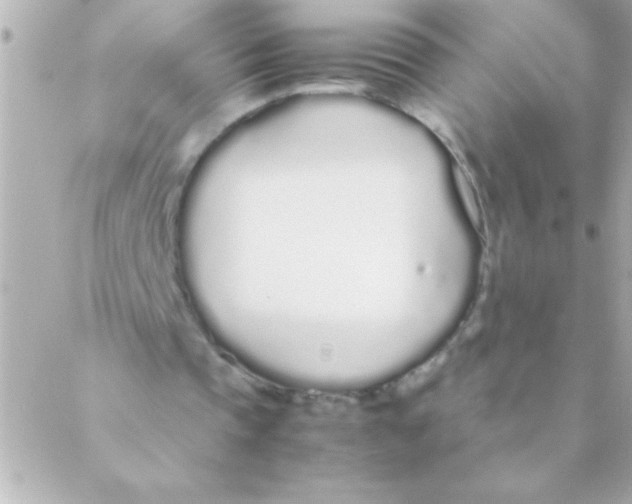 X0000088640337200706151948