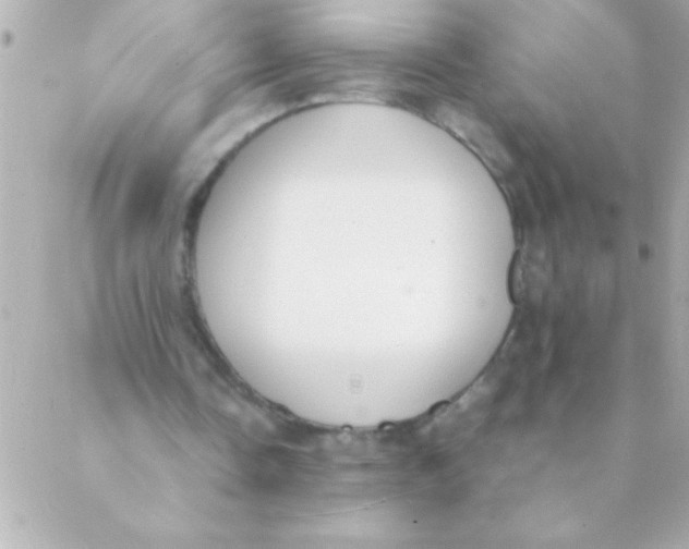 X0000088640338200706151948