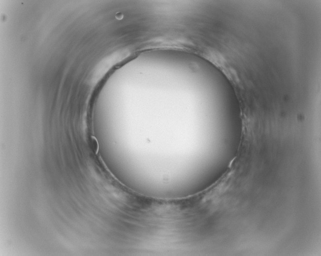 X0000088640340200706151948