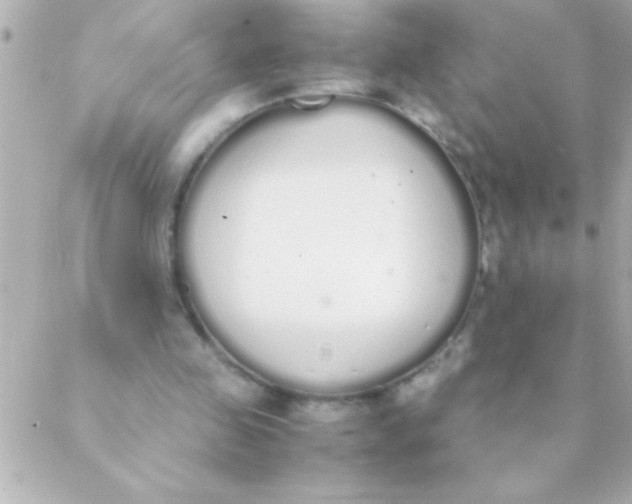 X0000088640341200706151948