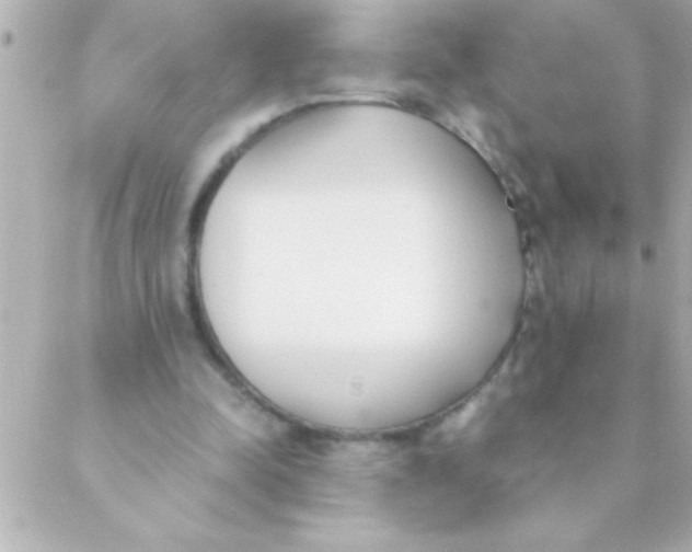 X0000088640342200706151948