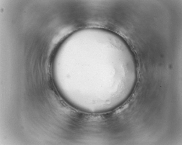 X0000088640343200706151948