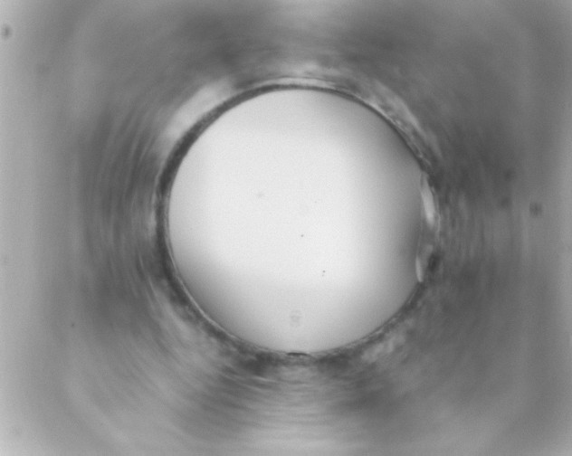 X0000088640344200706151948