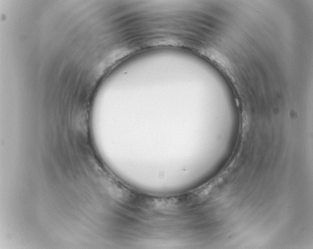 X0000088640345200706151948