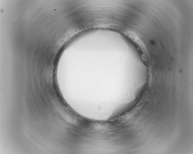 X0000088640346200706151948