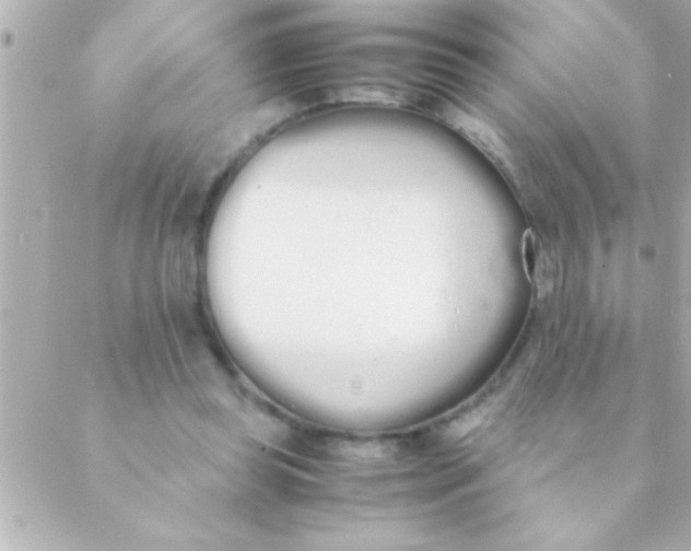 X0000088640349200706151948