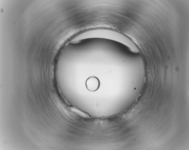 X0000088640350200706151948