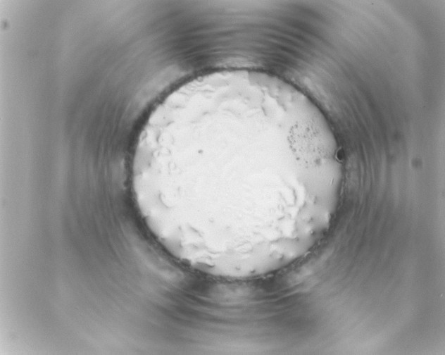 X0000088640351200706151948