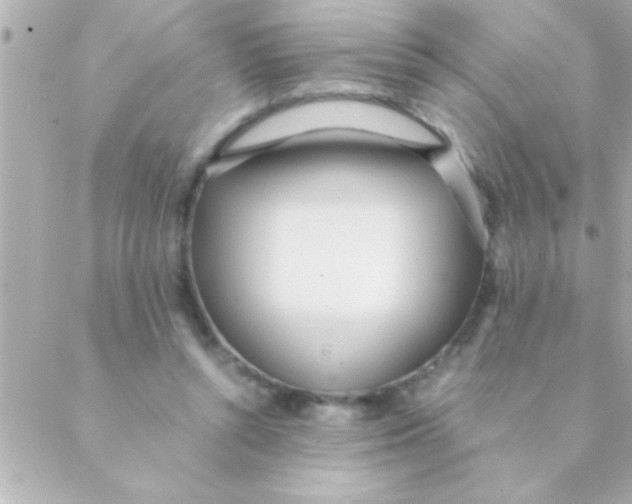 X0000088640352200706151948