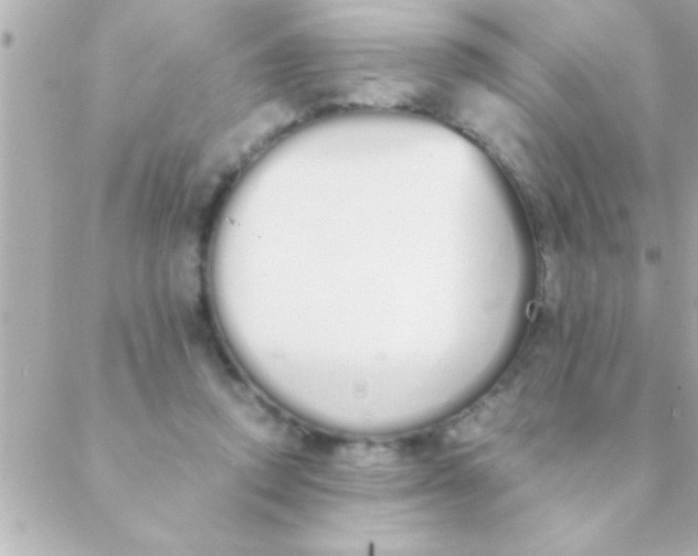 X0000088640354200706151948