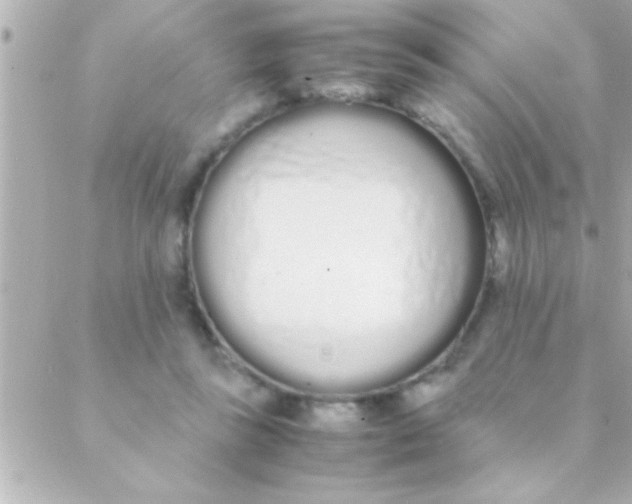 X0000088640355200706151948