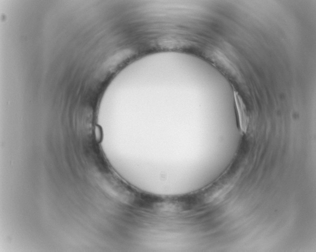 X0000088640356200706151948