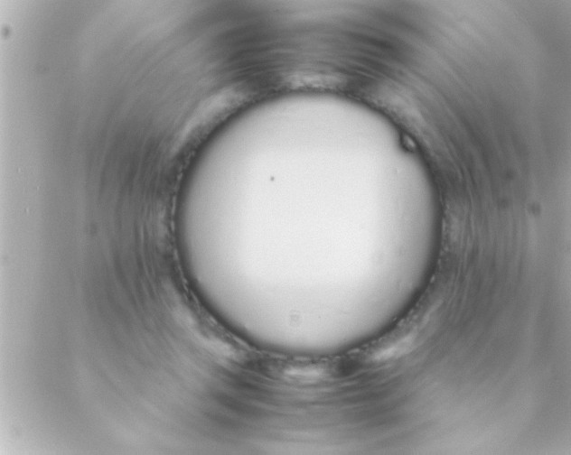 X0000088640357200706151948