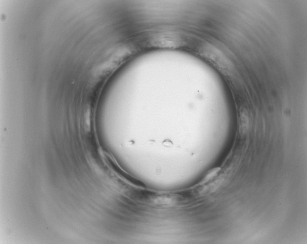 X0000088640358200706151948