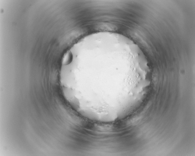 X0000088640359200706151948