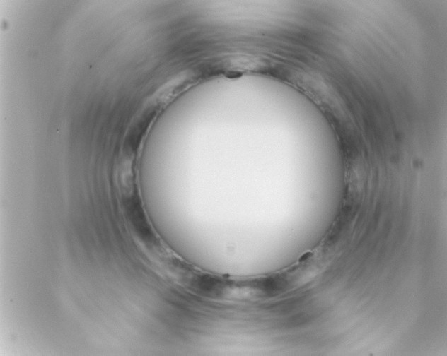 X0000088640360200706151948